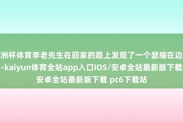 欧洲杯体育李老先生在回家的路上发现了一个瑟缩在边际里的小男孩-kaiyun体育全站app入口IOS/安卓全站最新版下载 pc6下载站