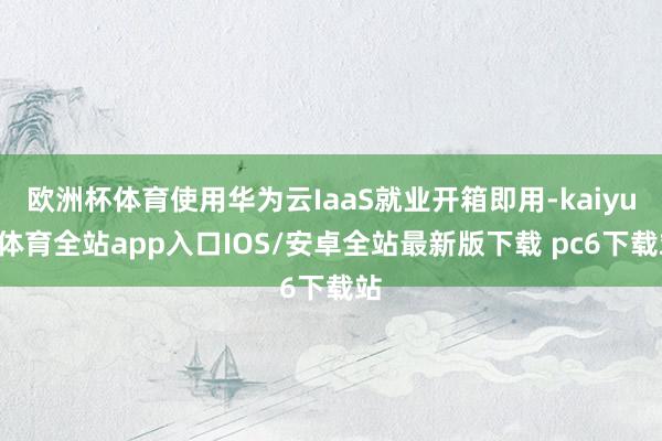 欧洲杯体育使用华为云IaaS就业开箱即用-kaiyun体育全站app入口IOS/安卓全站最新版下载 pc6下载站